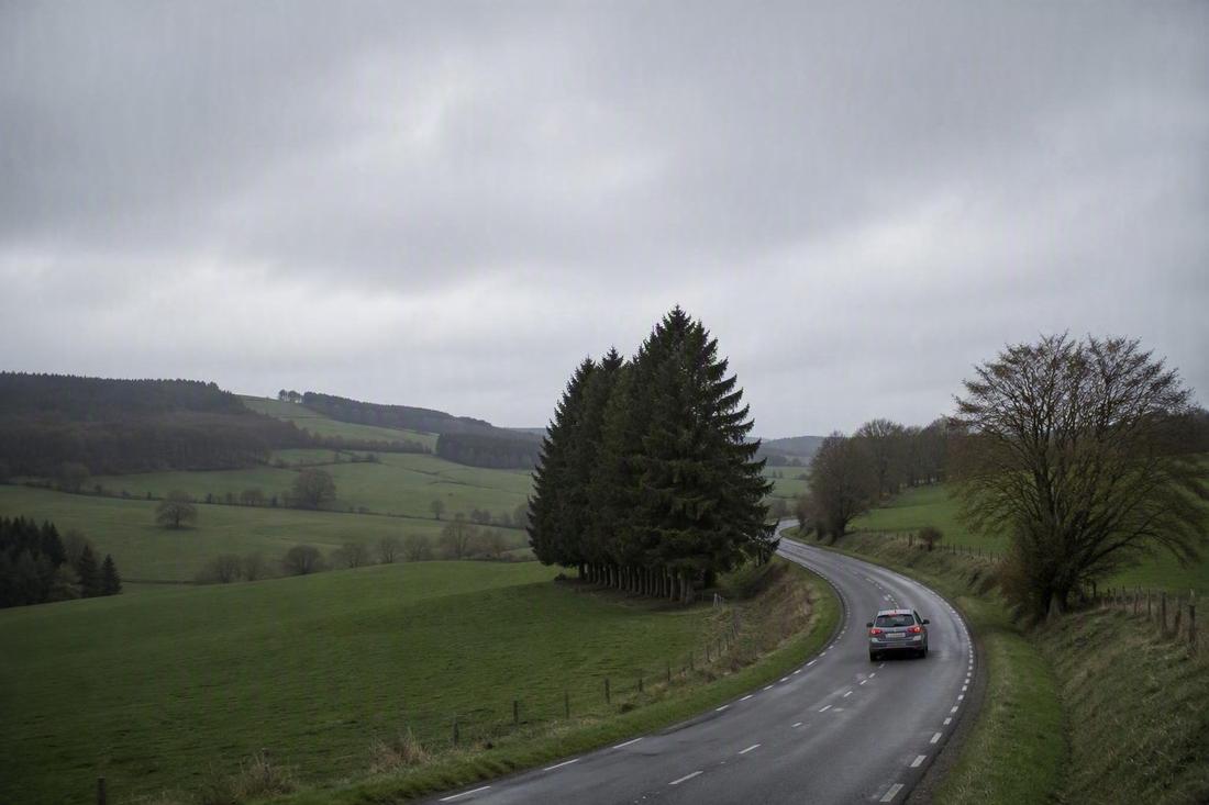 Voiture roulant sur une route de campagne belge sous une lumière naturelle — choix de la couverture omnium selon la valeur du véhicule