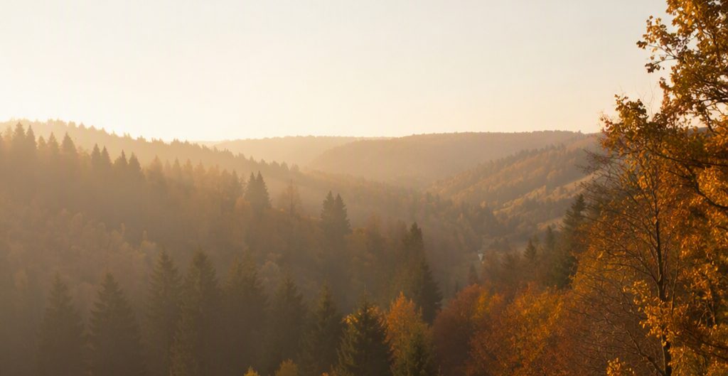 Planning for later: what Cinassur covers in life and investments