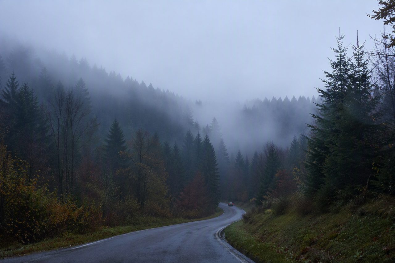 Route d'Ardenne en automne dans la brume, image du chemin qui mène à la retraite